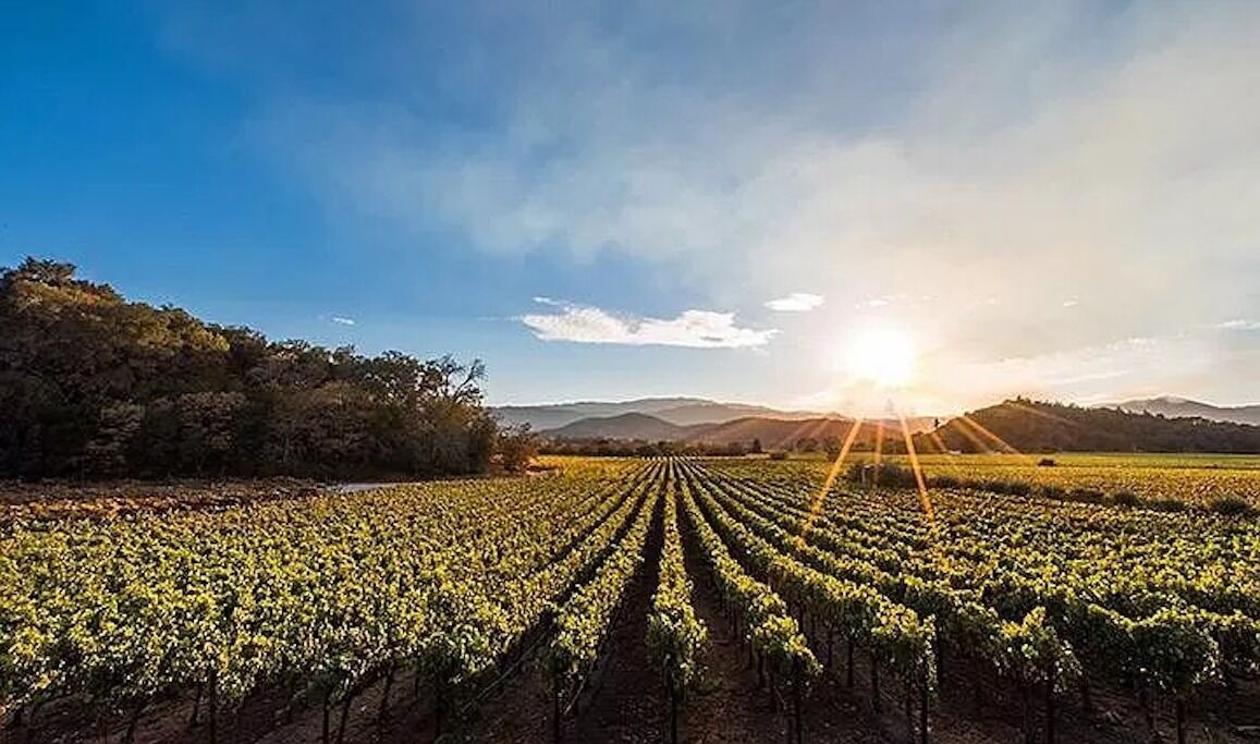Photo of Outdoor in Yountville