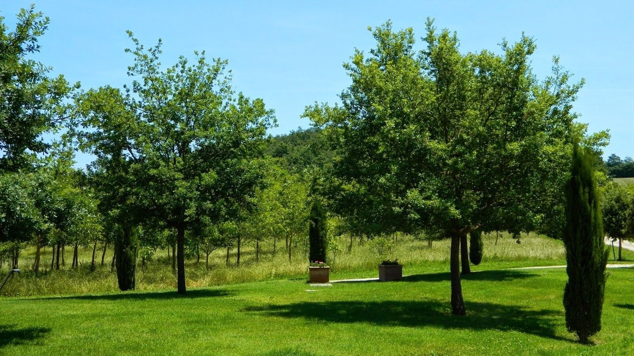Photo of Outdoor in San Macario In Monte