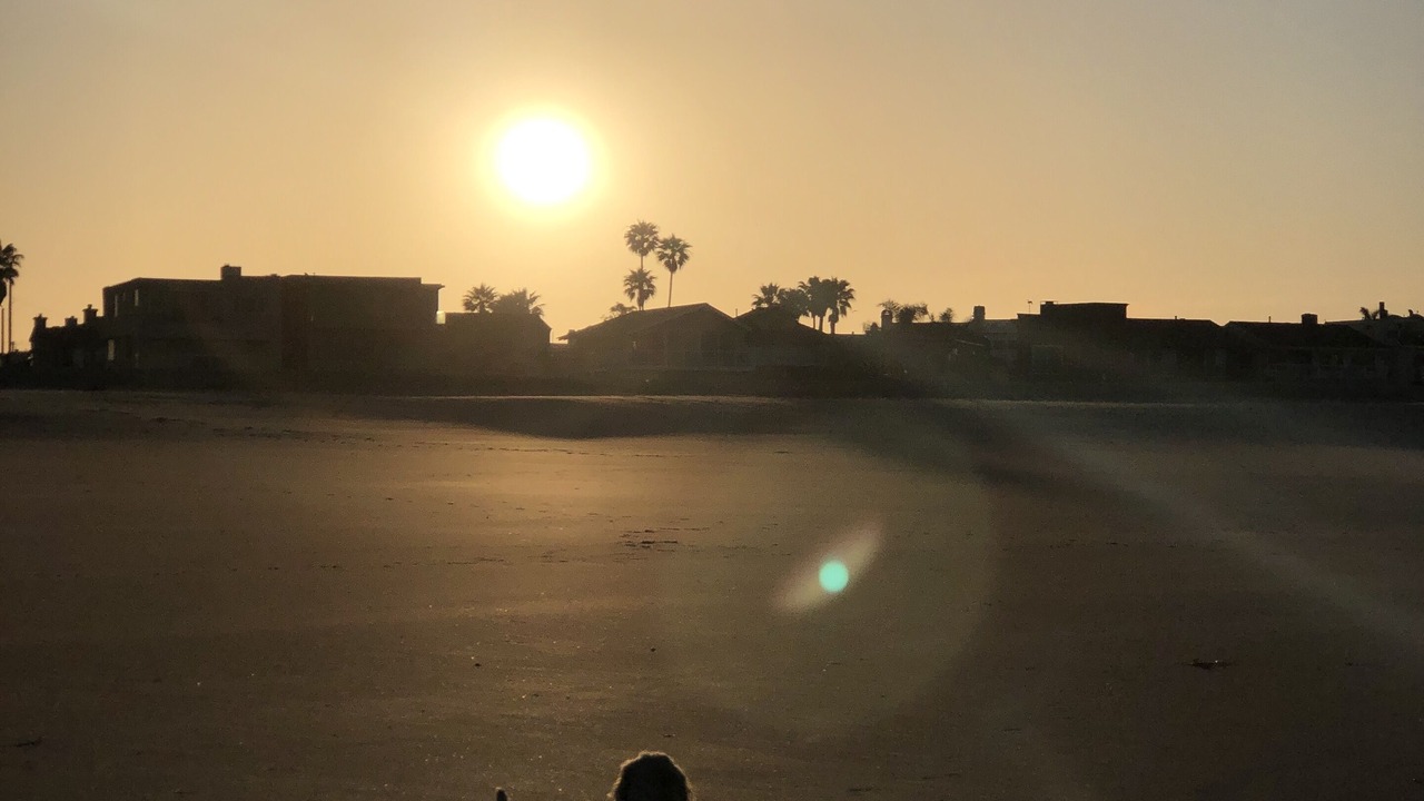 Photo of Others in Silver Strand
