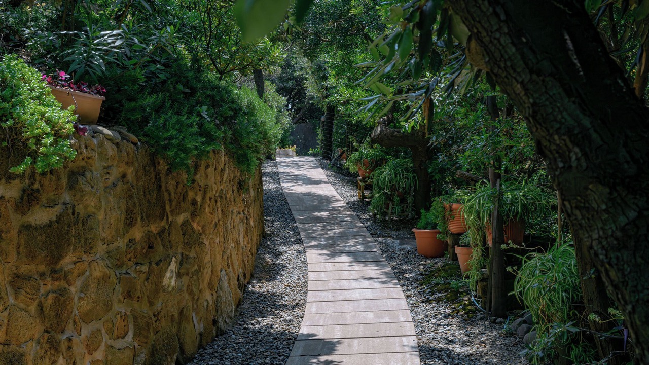 Photo of Outdoor in Rosignano Marittimo