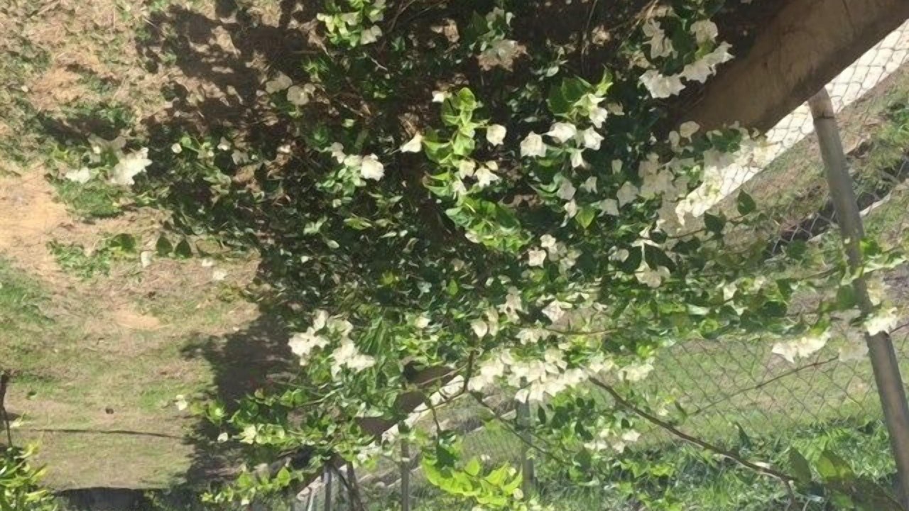 Photo of Outdoor in Diamond