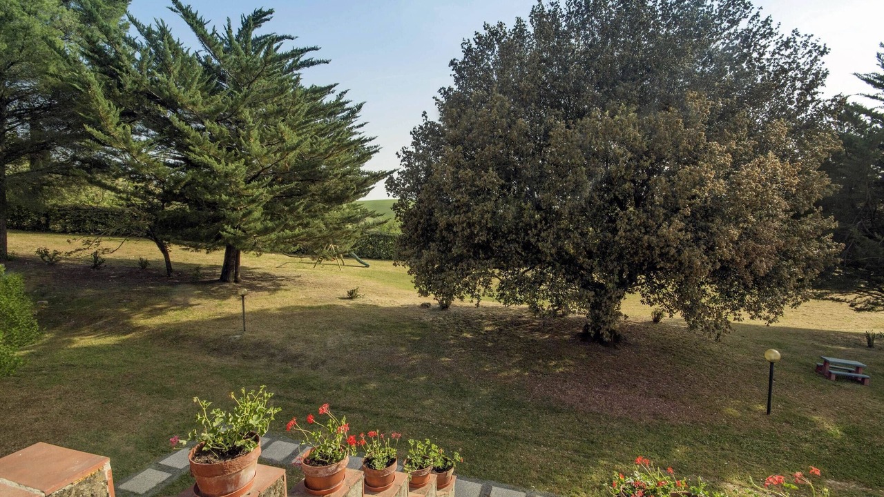 Photo of Outdoor in Castellina Marittima