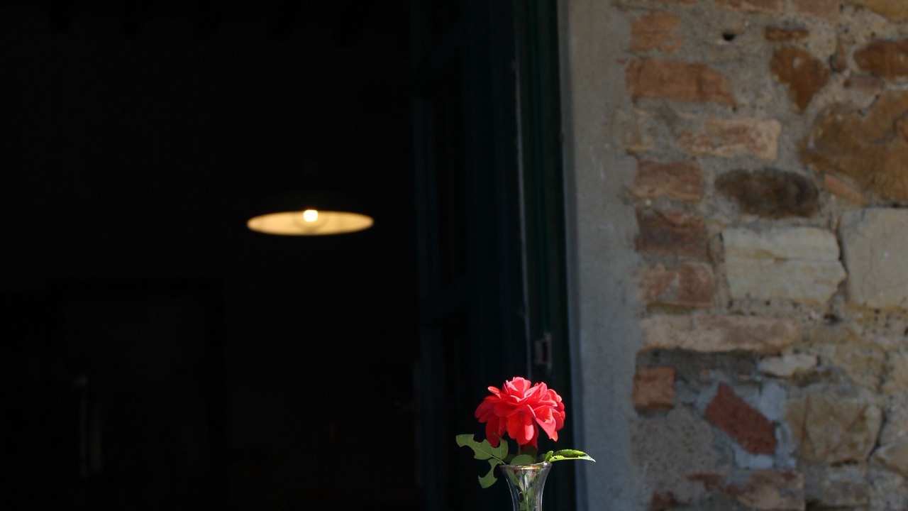 Photo of Outdoor in Castellina Marittima