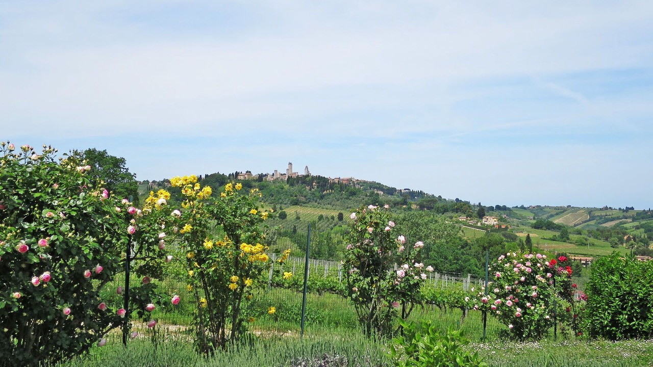 Photo of Others in San Gimignano