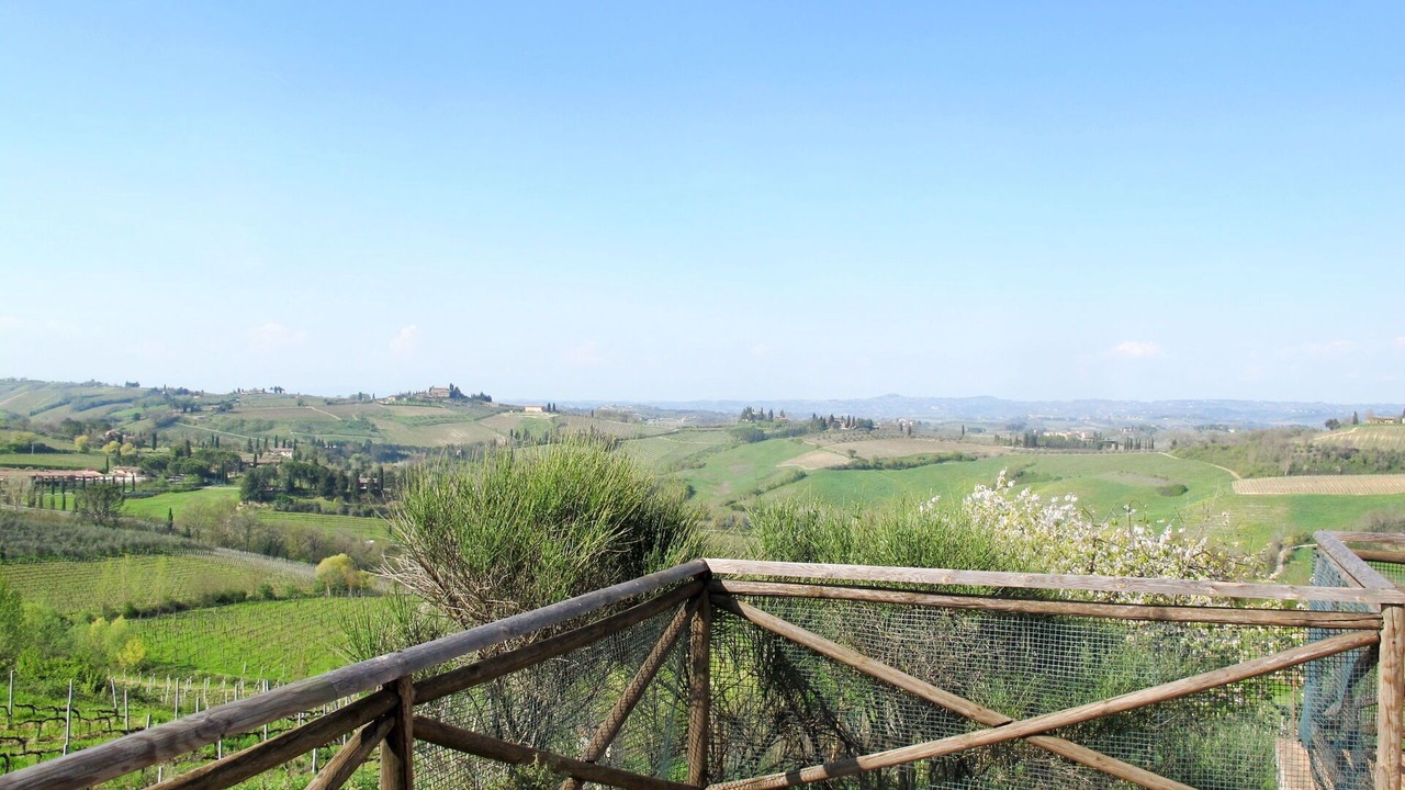 Photo of Others in San Gimignano
