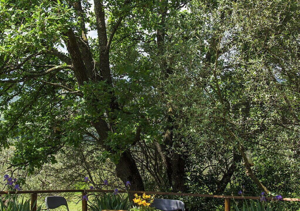 Photo of Outdoor in Volterra
