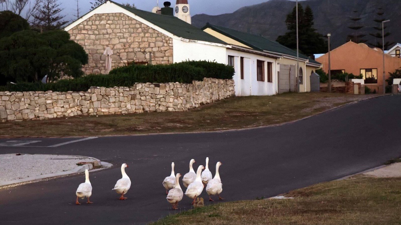 Photo of Outdoor in Gansbaai