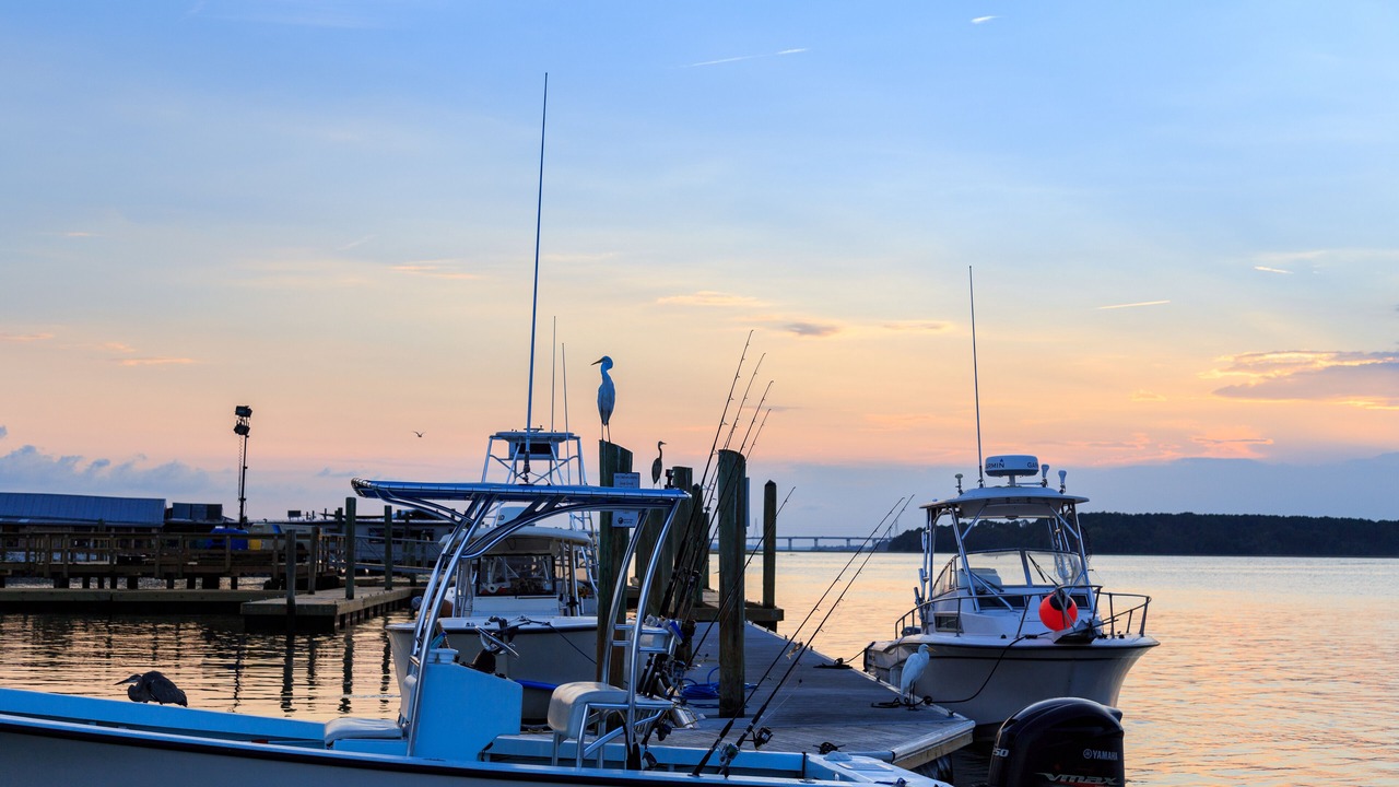 Photo of Outdoor in Shelter Cove