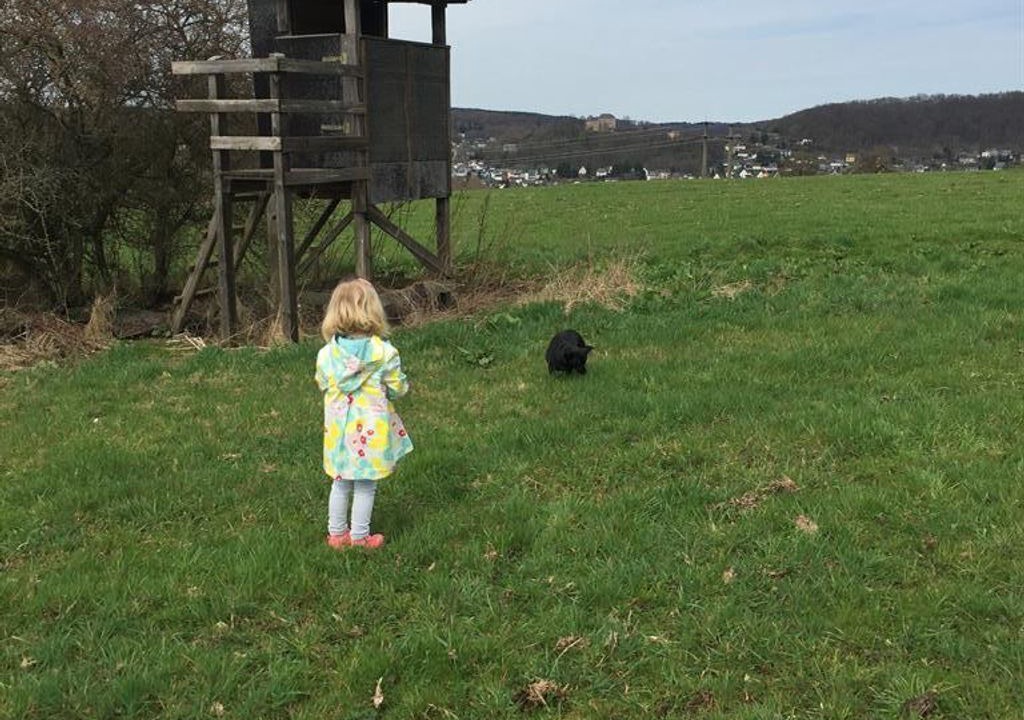 Photo of Others in Westerburg