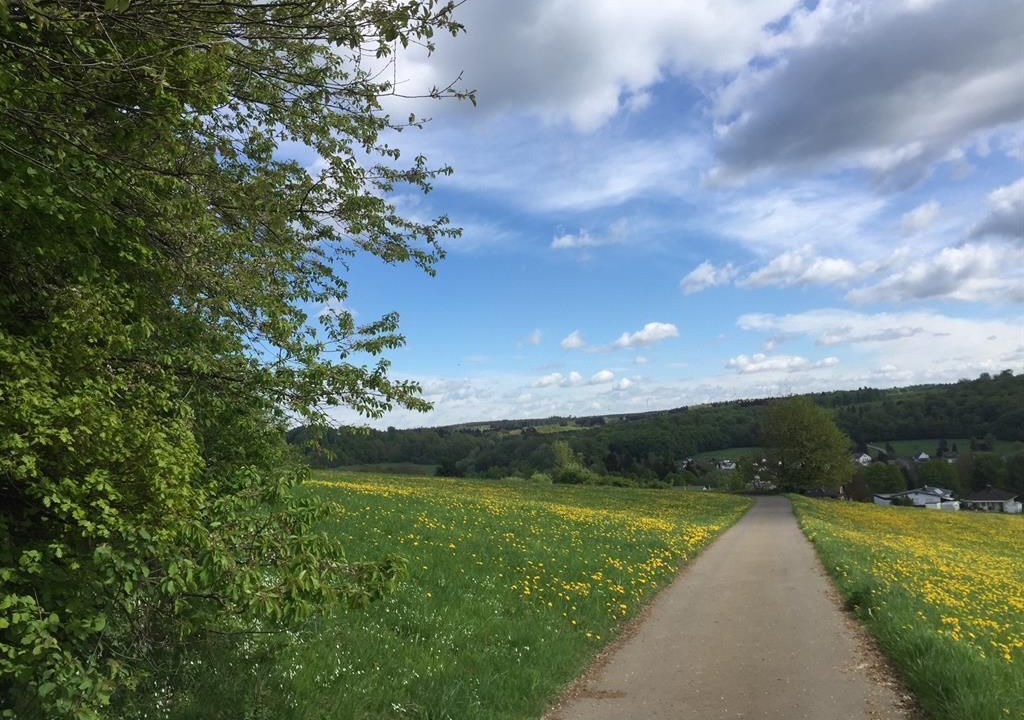 Photo of Others in Westerburg
