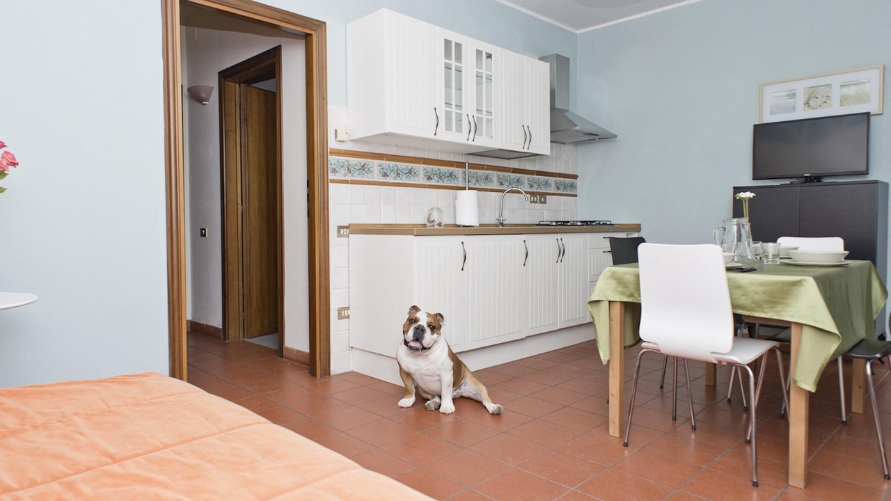 Photo of Kitchen in Castagno