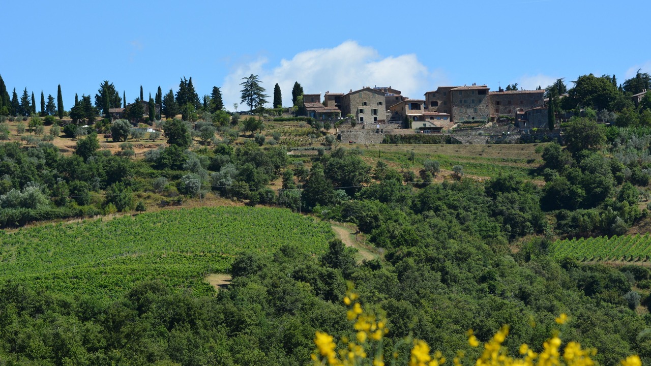 Photo of Outdoor in Rosennano