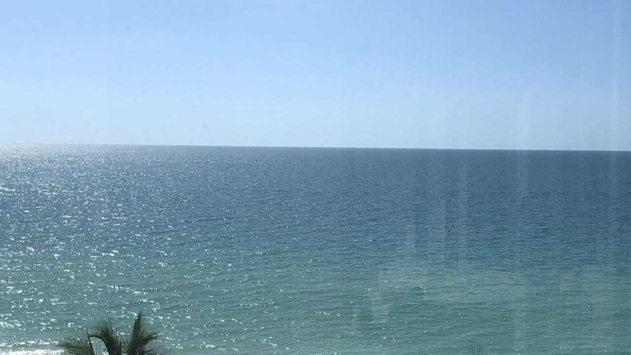 Photo of Others in Park Shore