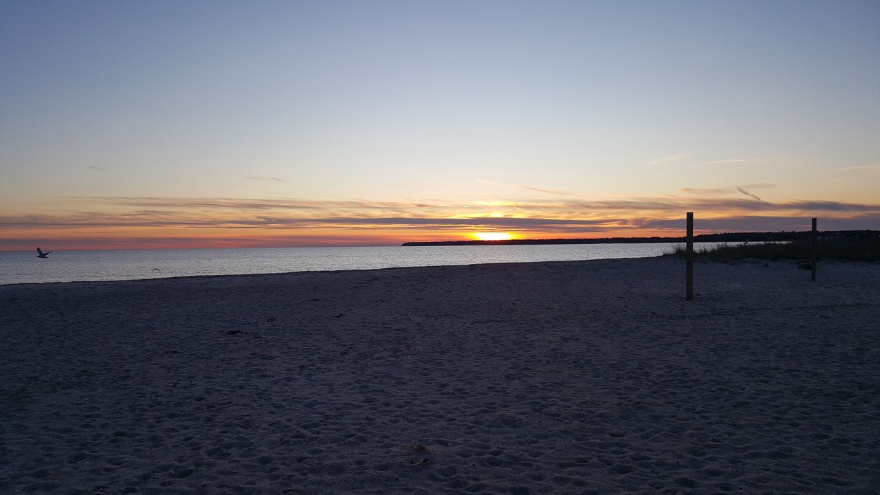 Photo of Others in West Hyannisport