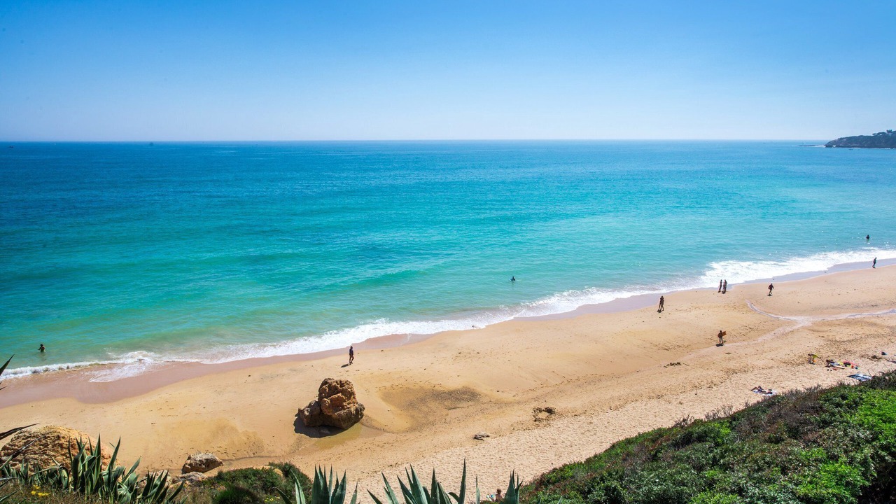 Photo of Others in Concelho