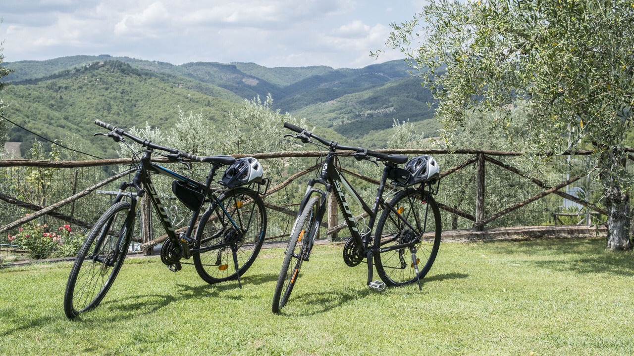 Photo of Others in Monte Benichi