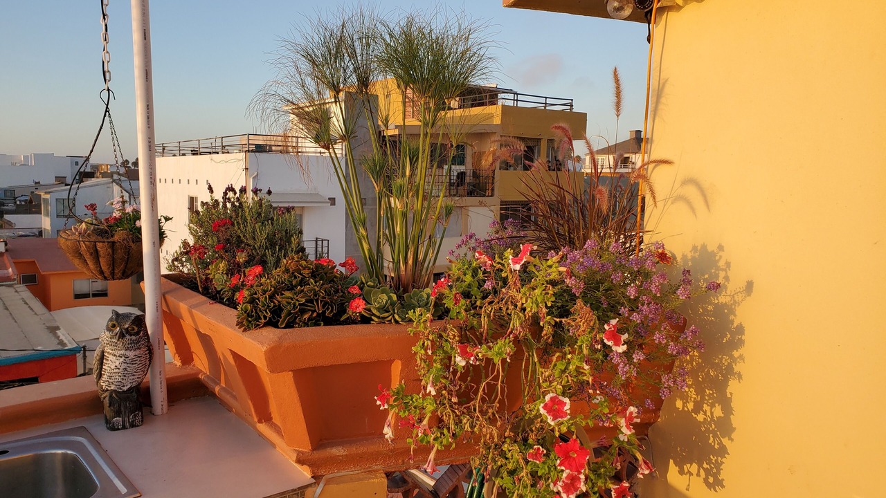 Photo of Outdoor in Playas de Tijuana