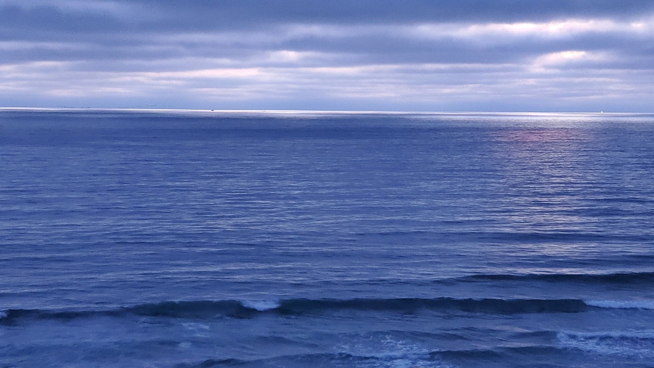 Photo of Others in Playas de Tijuana