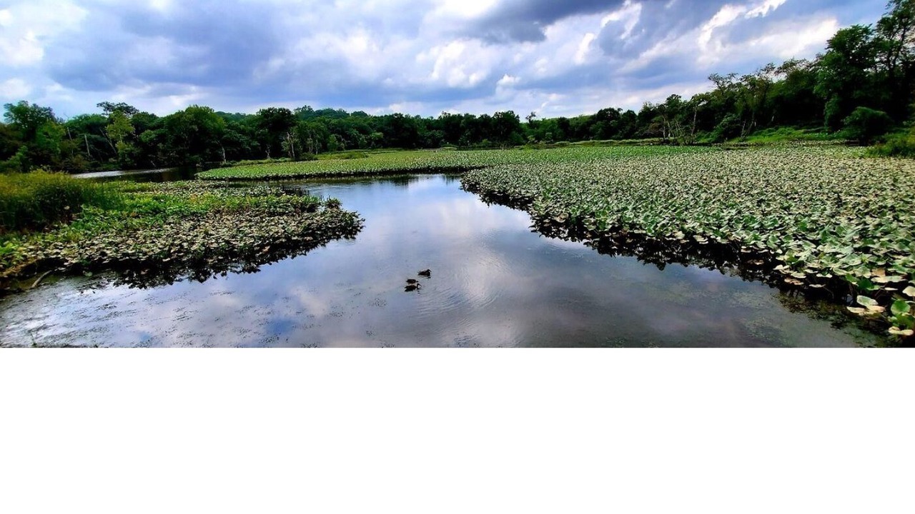 Photo of Others in Northeast