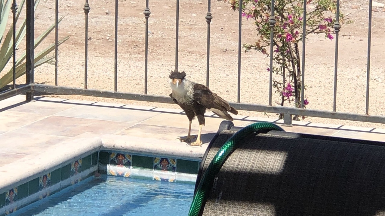 Photo of Outdoor in El Centenario