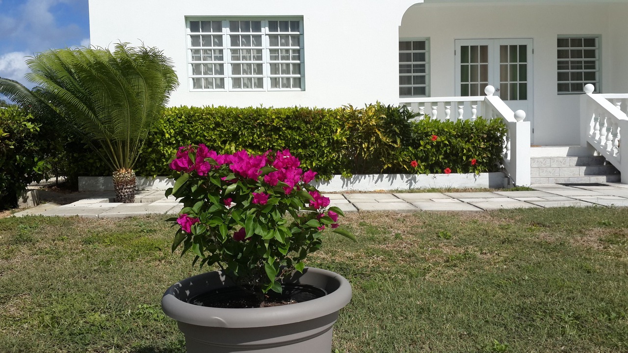 Photo of Outdoor in Little Harbour