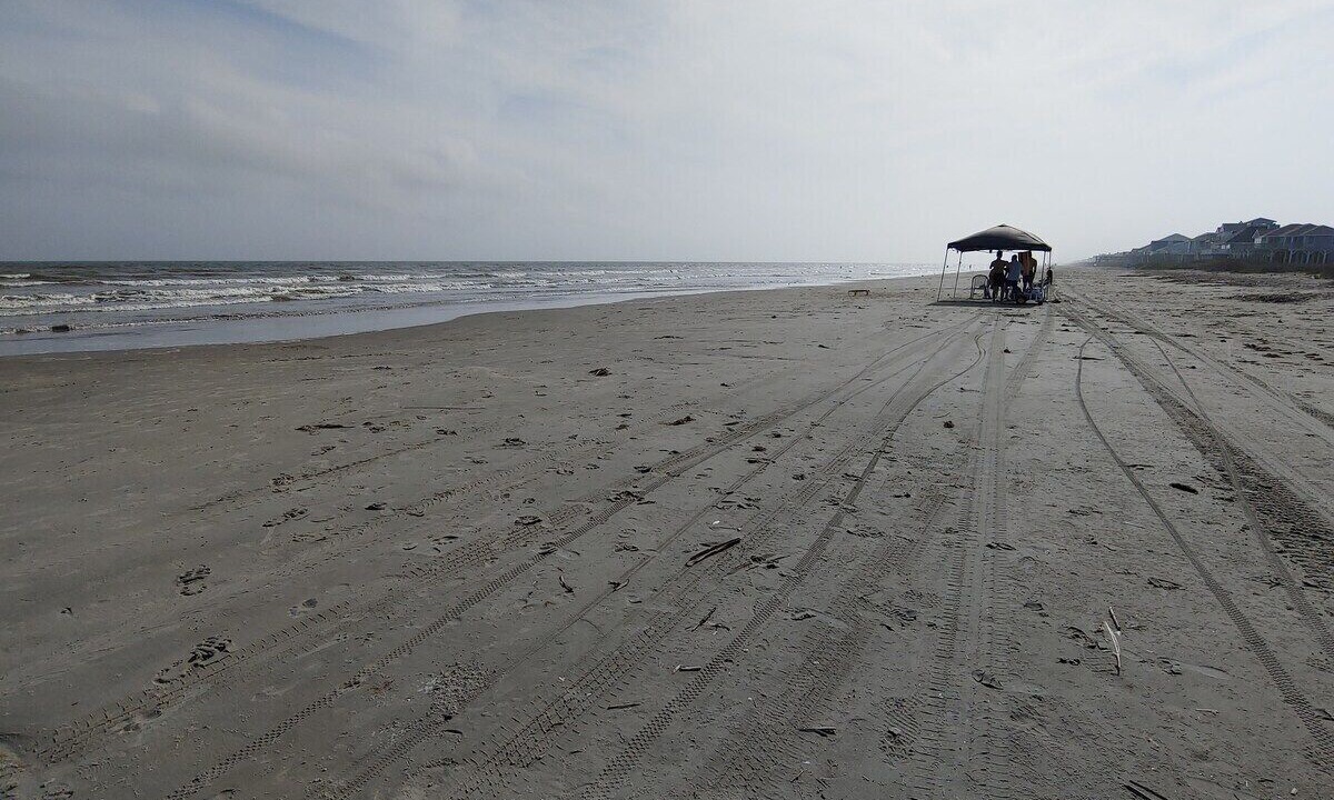 Photo of Others in Gulf Palms