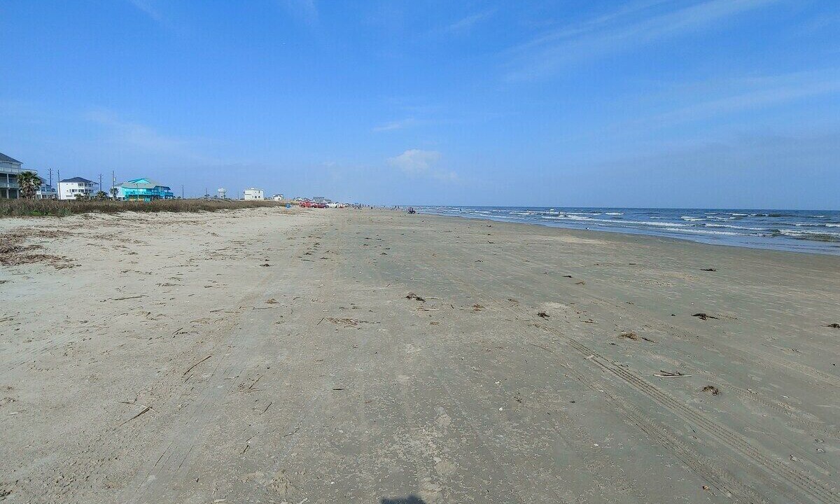 Photo of Others in Gulf Palms