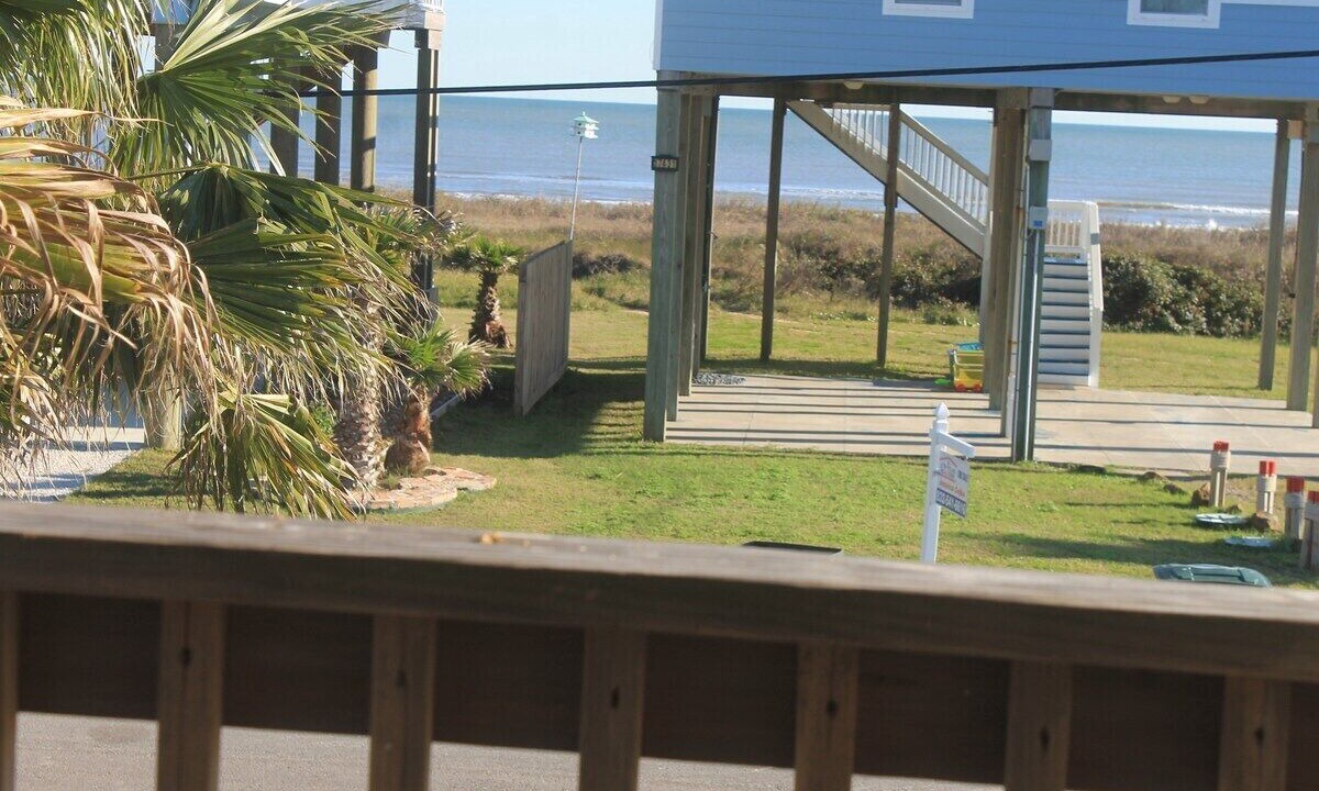 Photo of Others in Gulf Palms