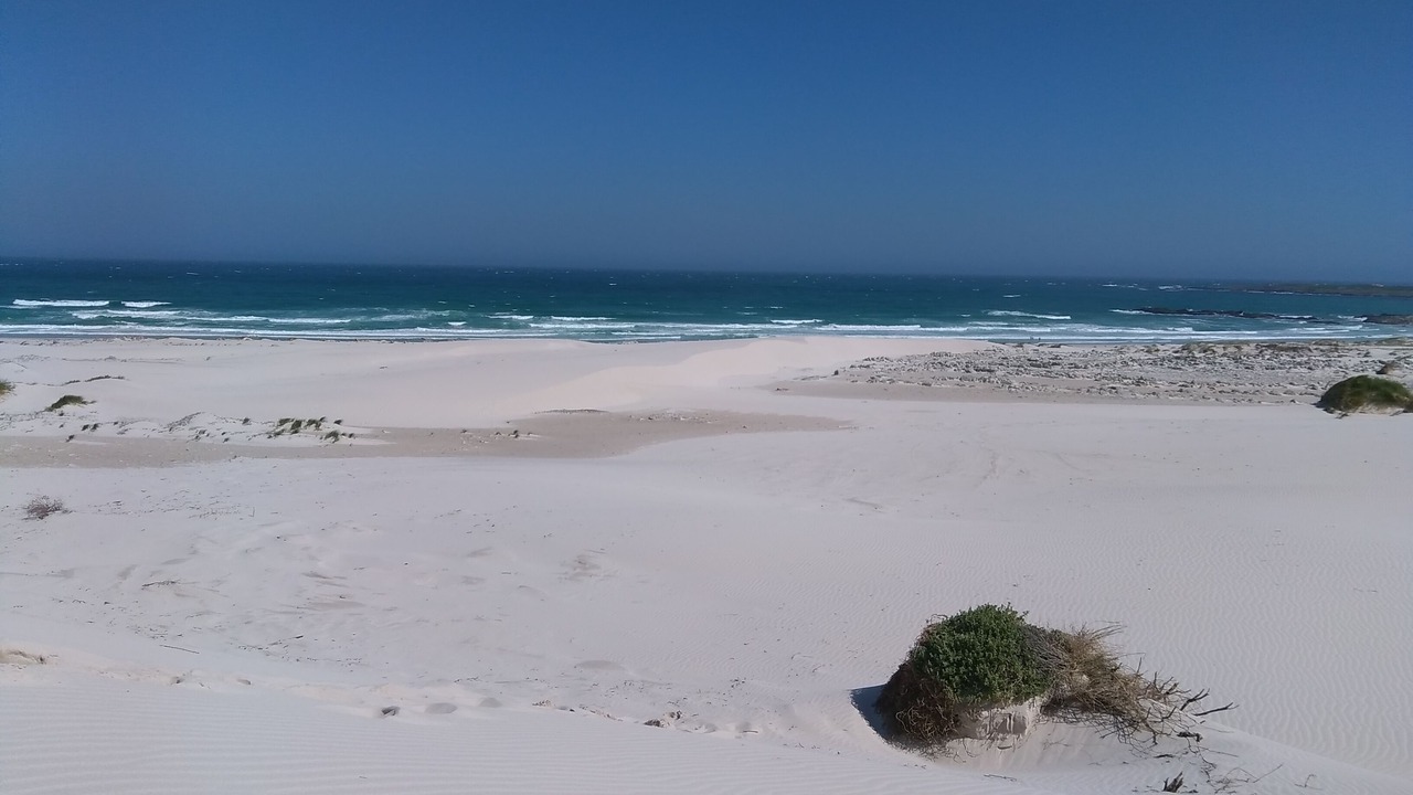 Photo of Others in Betty's Bay