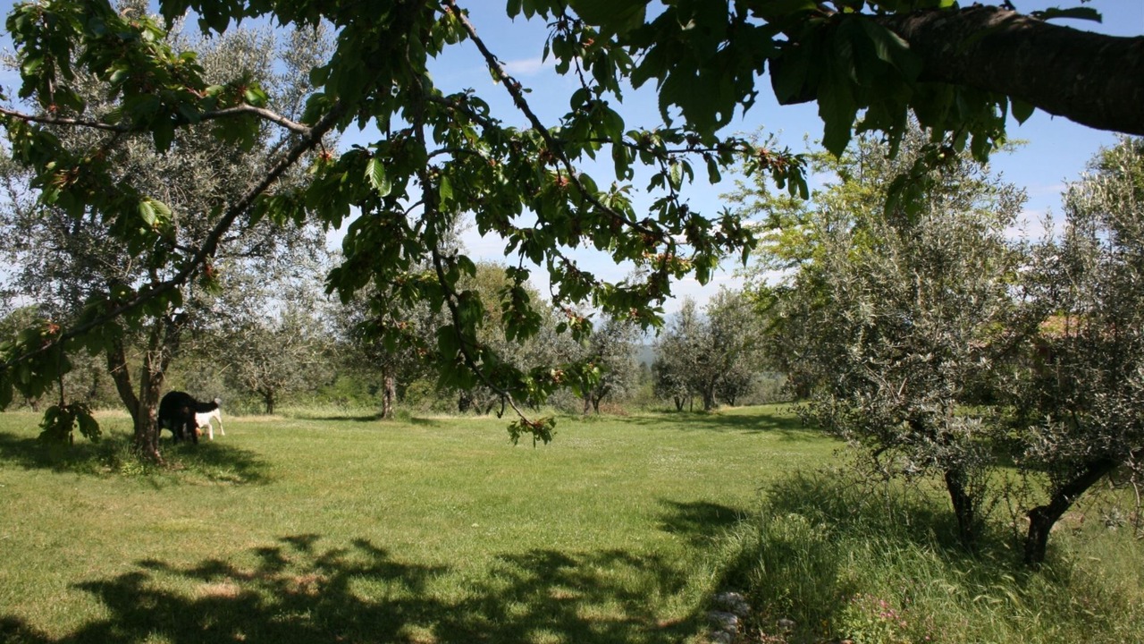 Photo of Outdoor in Monte San Savino