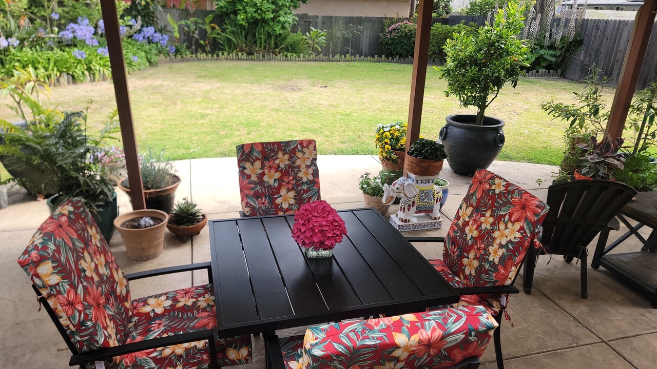 Photo of Outdoor in West Mesa