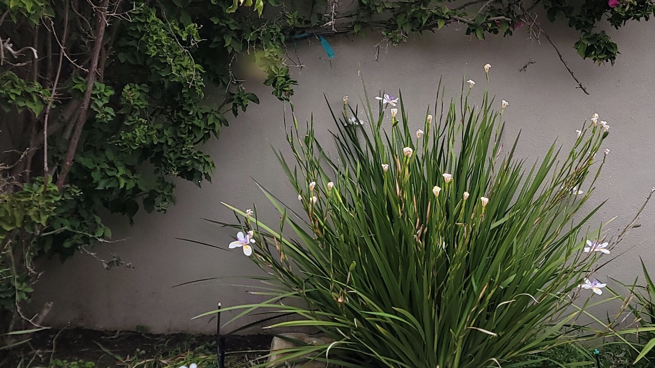 Photo of Outdoor in West Mesa