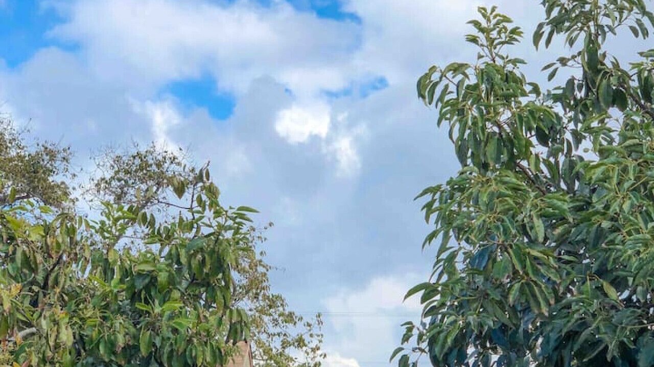 Photo of Outdoor in Camarillo