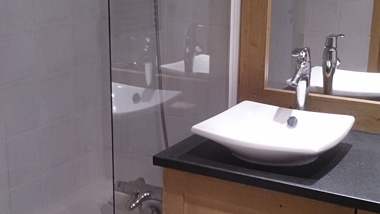 Photo of Bathroom in Bisanne 1500