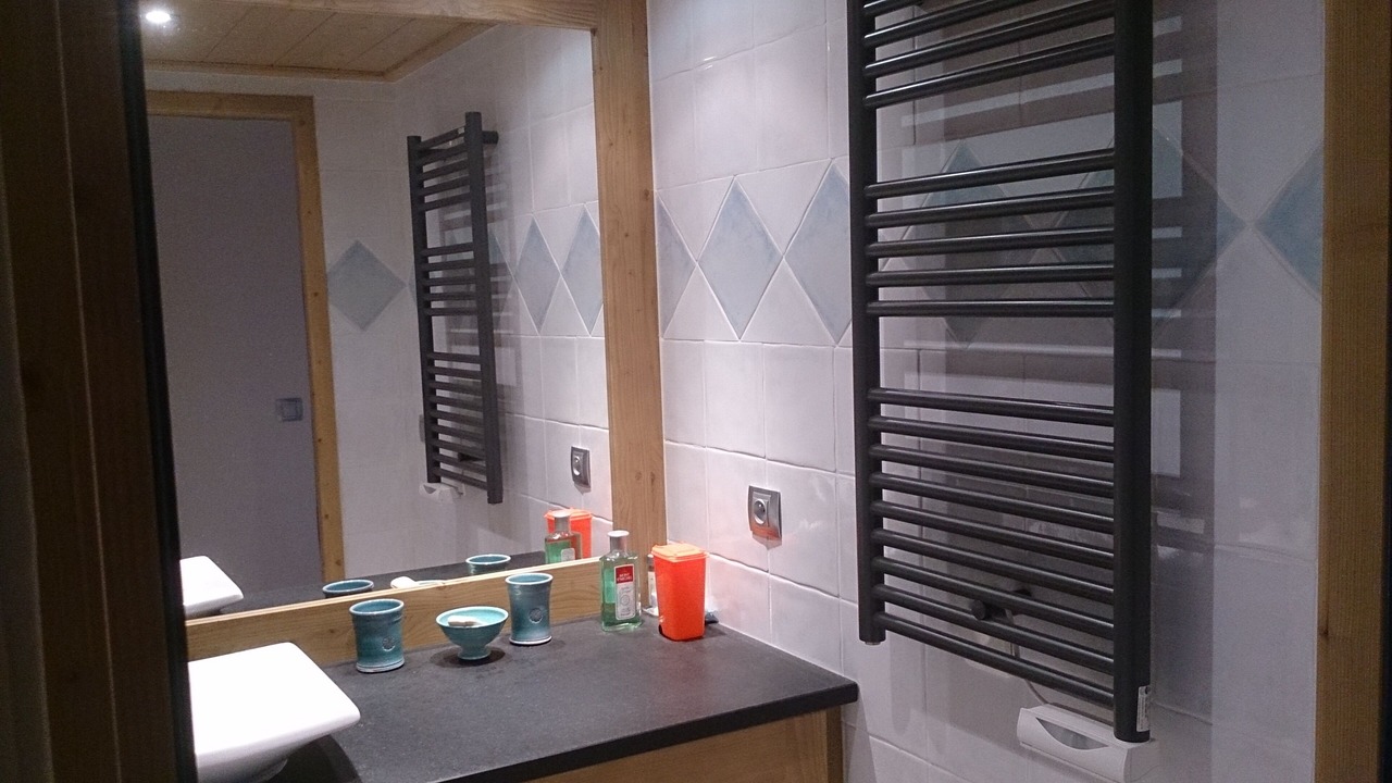 Photo of Bathroom in Bisanne 1500