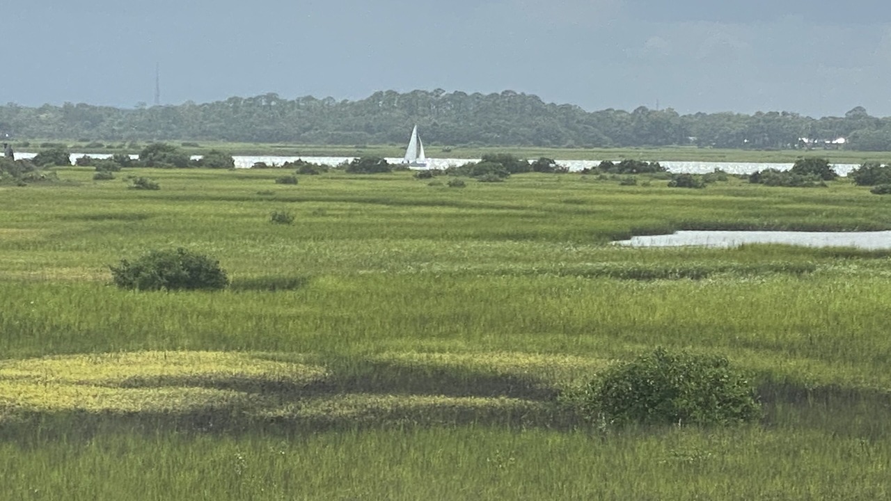Photo of Outdoor in Vilano Beach