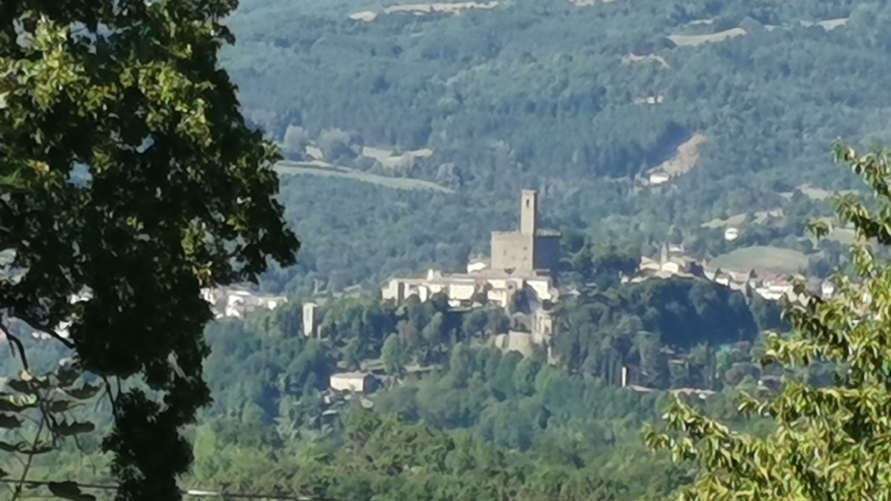 Photo of Outdoor in Poppi