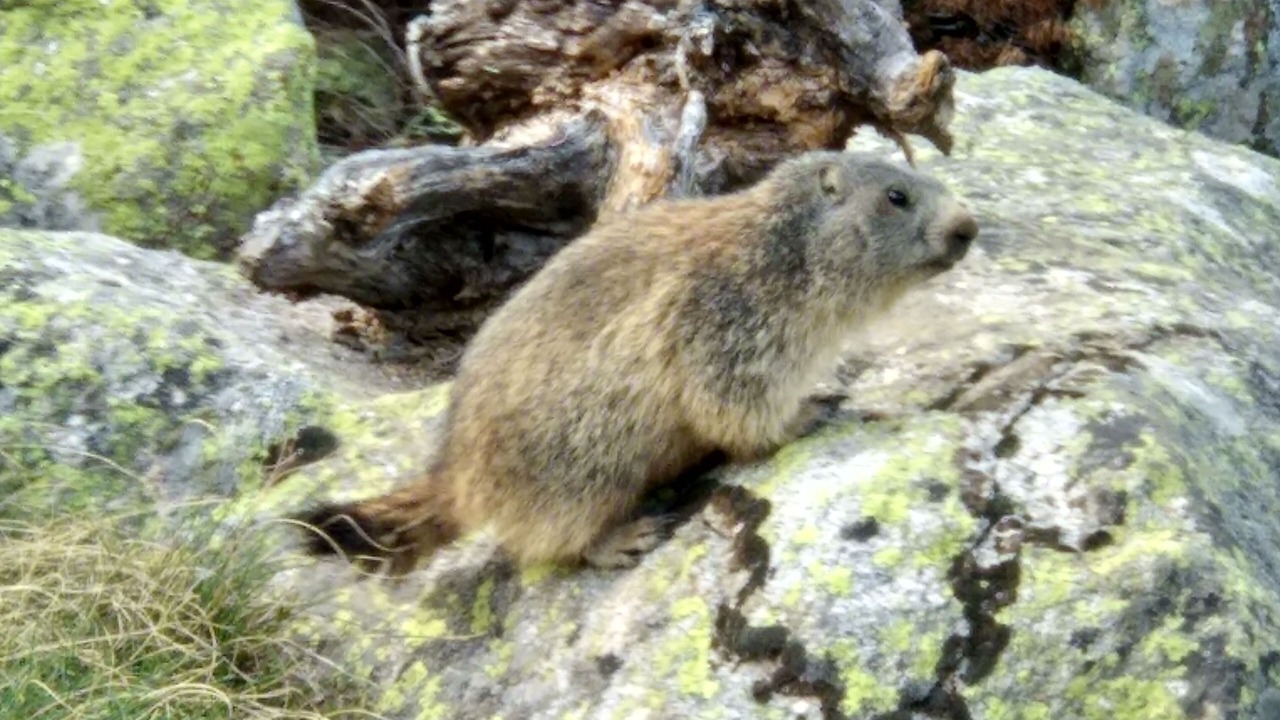 Photo of Outdoor in Pas de la Casa