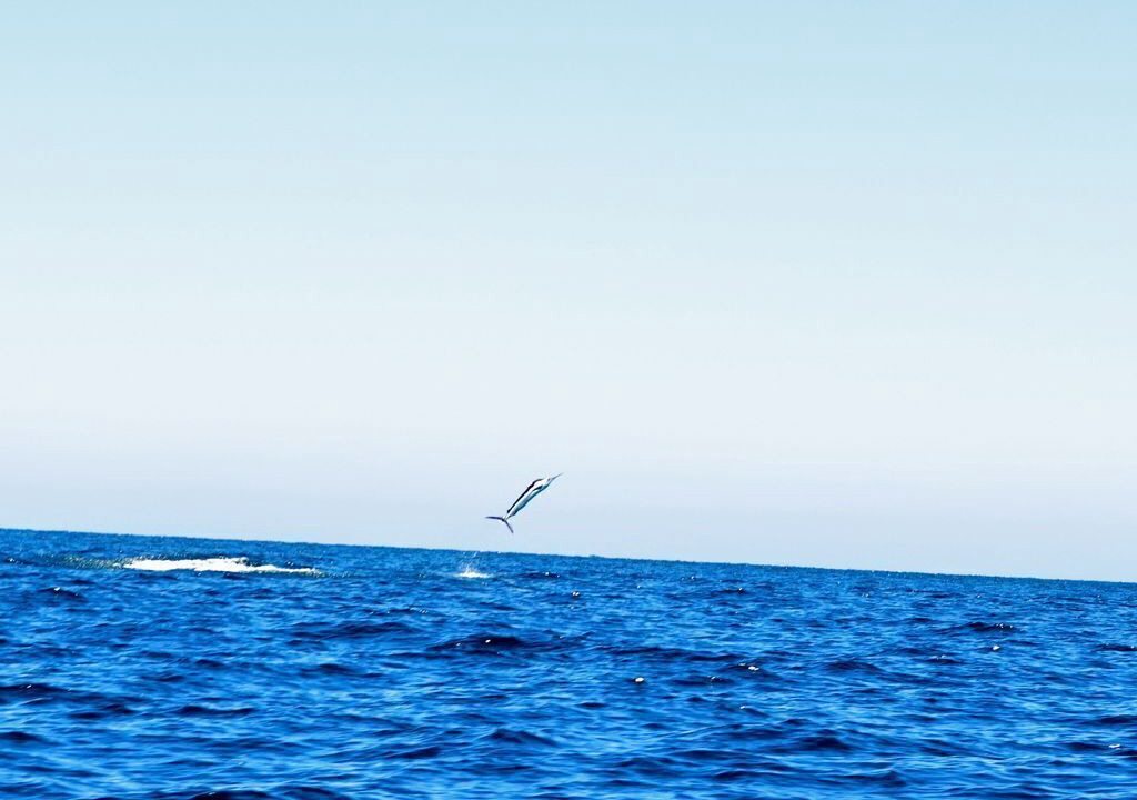 Photo of Others in Pedregal