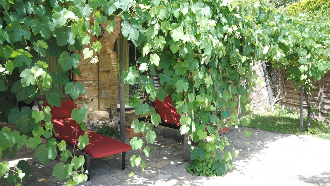 Photo of Outdoor in Radicondoli