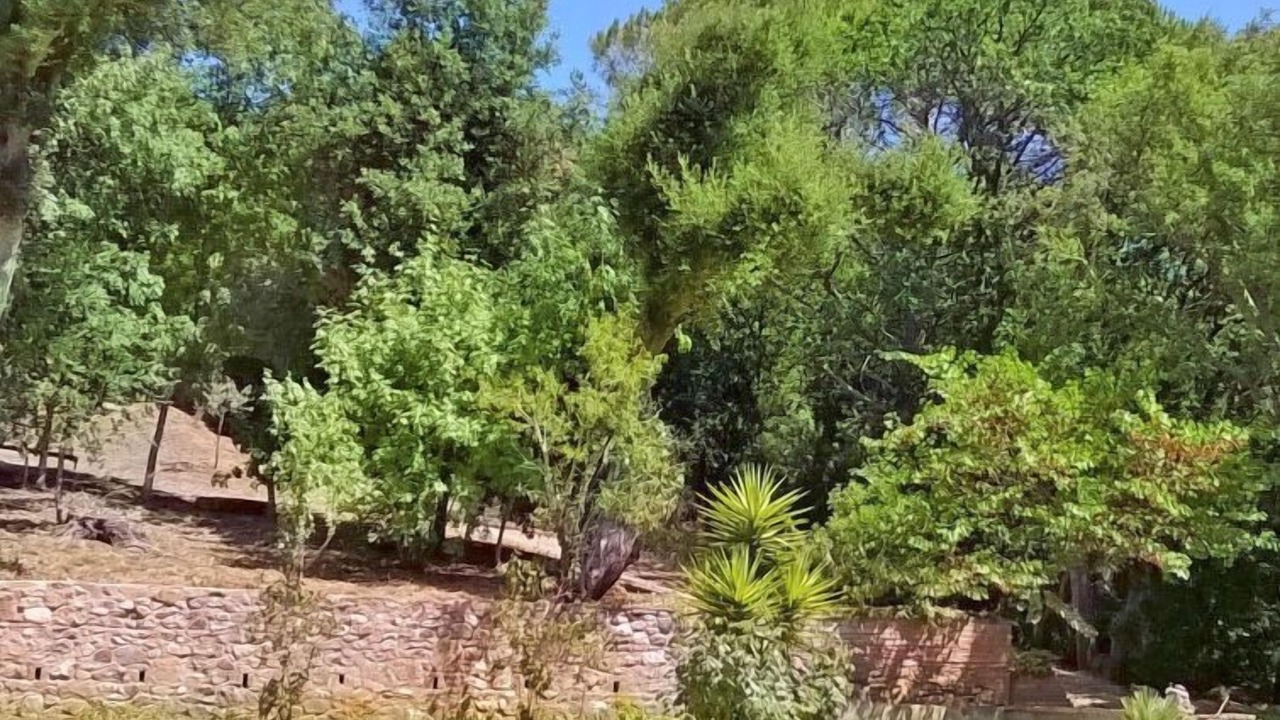 Photo of Outdoor in Riparbella