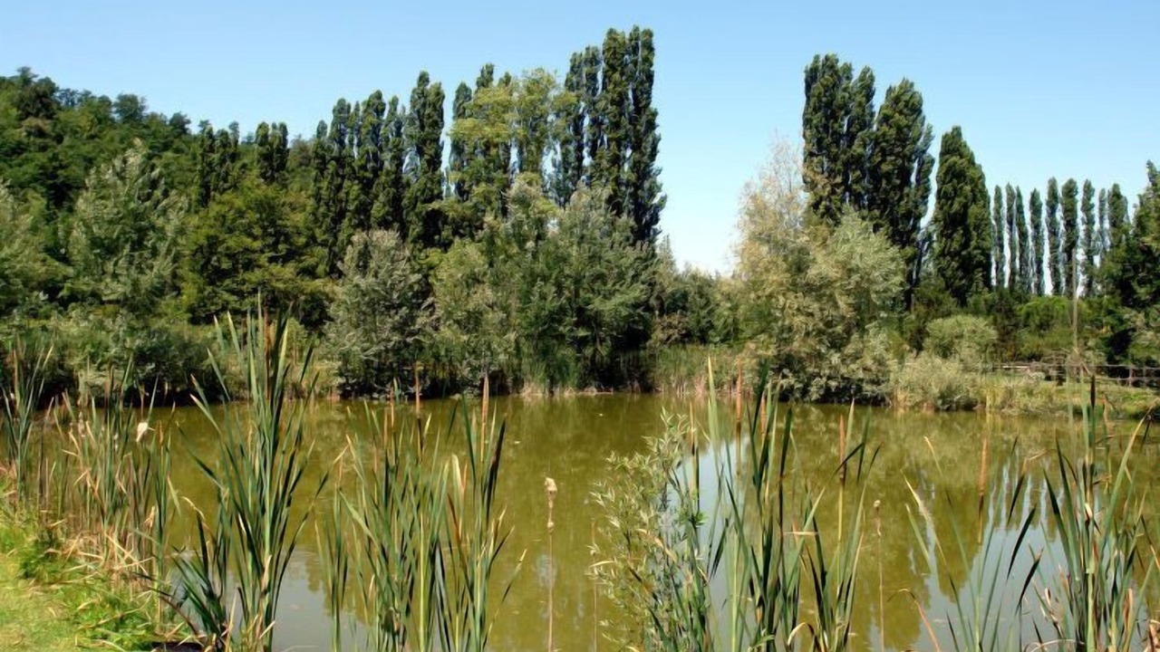 Photo of Others in Palaia