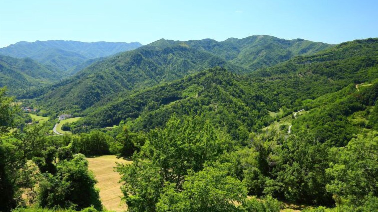 Photo of Others in Marradi