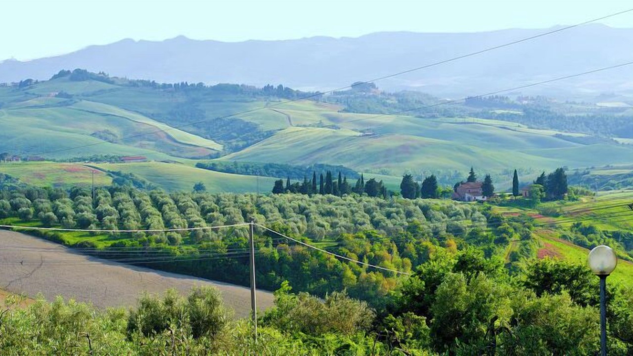 Photo of Others in Montaione