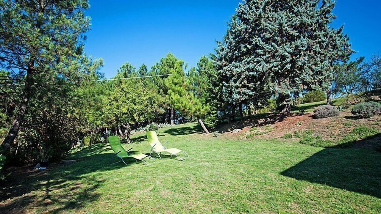 Photo of Outdoor in Neri