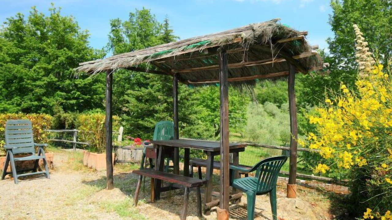 Photo of Outdoor in Neri