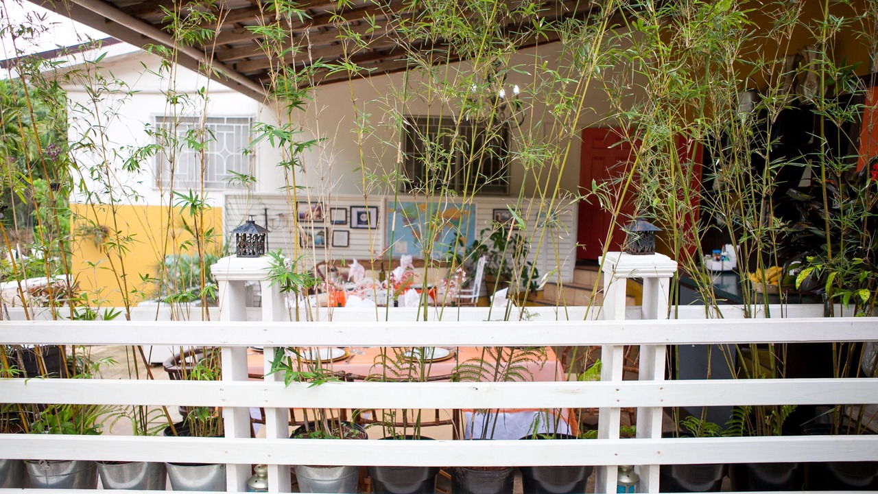 Photo of Outdoor in Mandeville