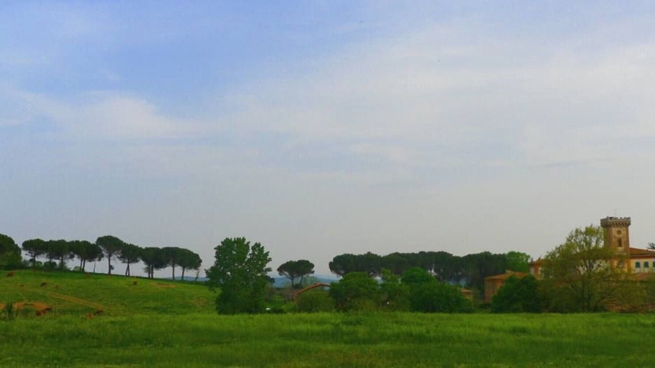 Photo of Outdoor in Castelnuovo di Val di Cecina