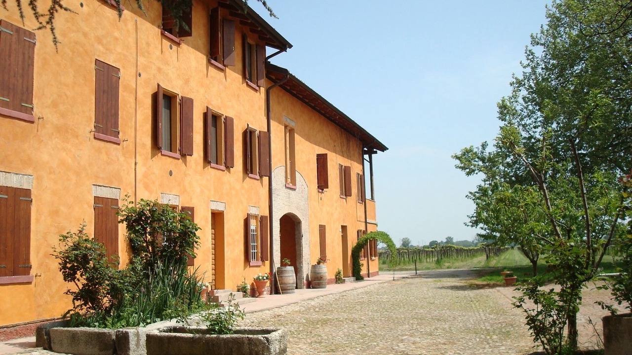 Photo of Others in Reggio nell'Emilia