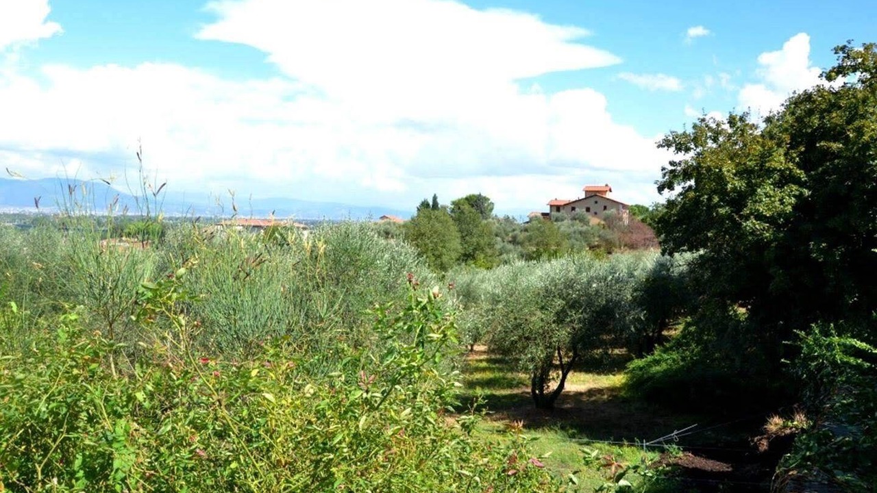 Photo of Outdoor in Lastra a Signa